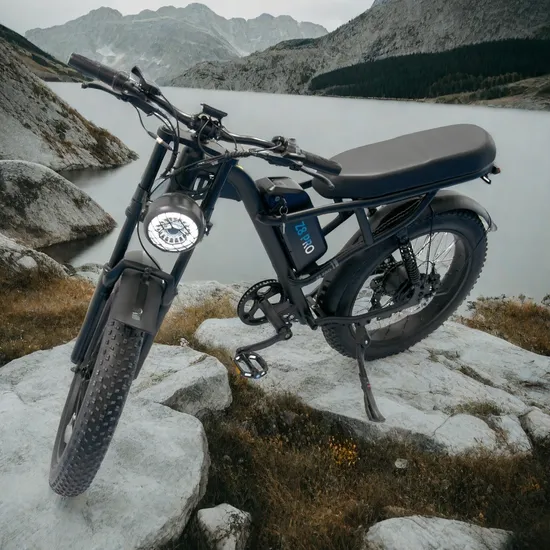 Ebike 250W 24inch Fat Tire E Bicycle Cheap Electric Bike Ebike for Adult, Electro Electics Elictrics Electronic Eletrics Bike