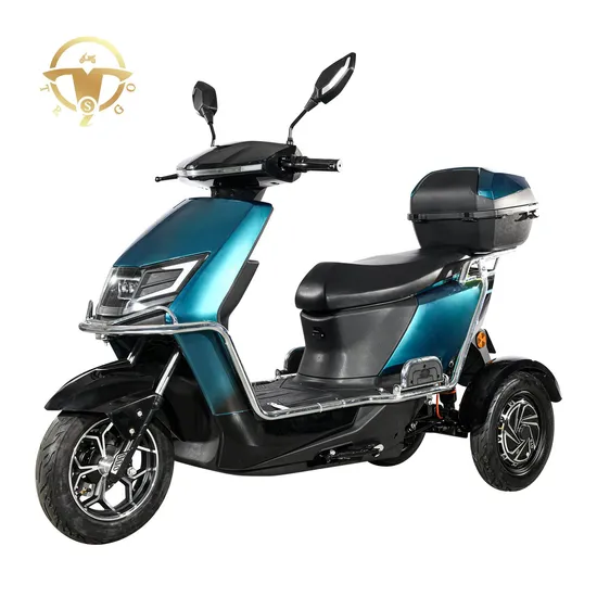 Coc 60V/72V Dual Motors 20ah-80ah 30-55kmh 3 Wheels Electric Mobility Scooter