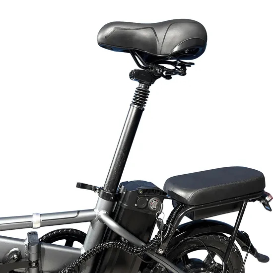 Lithium Battery 48V Folding Electric Bike 14-Inch Wheel Portable Adult Commuter City Vehicle