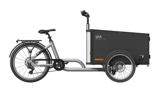 Durable Electric Cargo Trike for Family and Heavy Loads