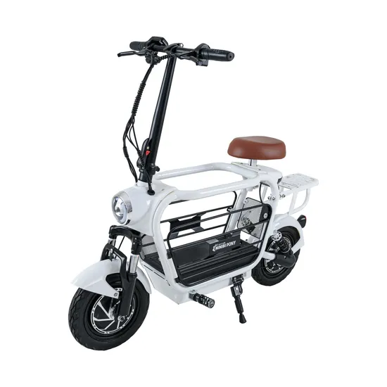 48V20ah Pet Cargo Ebike 48V500W*2 Dual Motor Electric Bike E Scooter with Pet Cargo for Adults