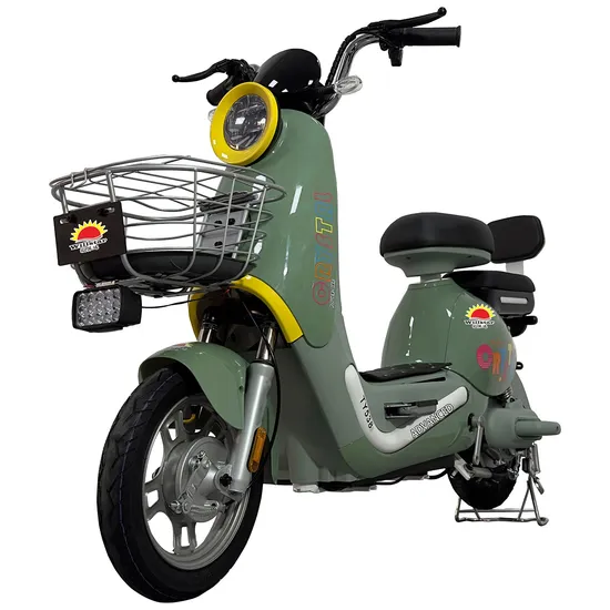 Willstar Ty538 Electric Bicycle/Bike/Moped Wholesale Price Top Quality