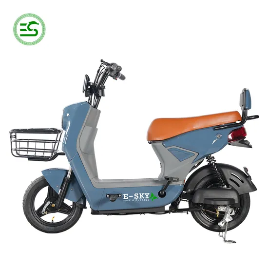 2024 Electric Bicycle From China - 48V, 350W/500W Options Scooter