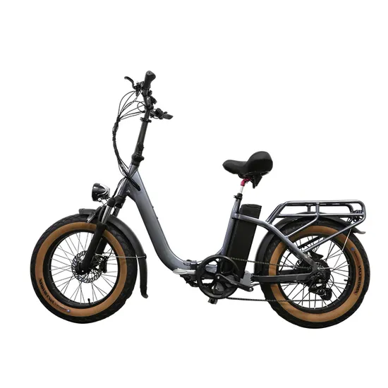 48V 15ah Li-ion Battery off-Road Foldable E Bicycle Central Motor 20 Inch Folding Electric Bike