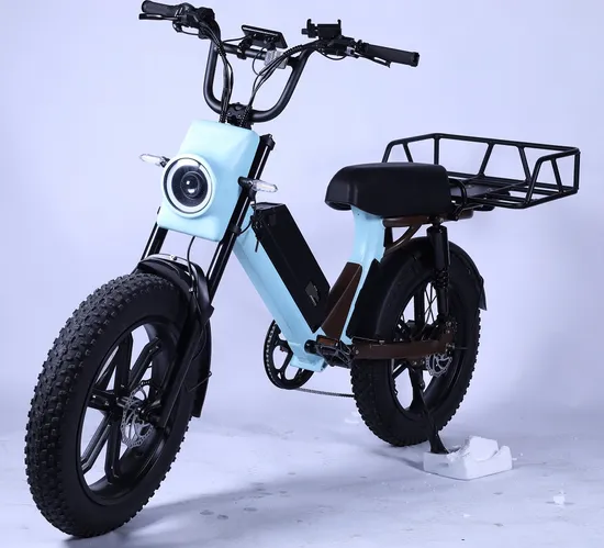 750W48V Cargo Electric Bike with Large Battery 5% Discount
