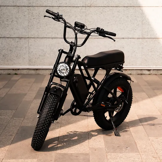 High Quality 20*4" Tire Bike Fat Tire 20 Inch 250W 1000W 7 Speed Gears Aluminum Alloy Steel Frame Electric Mountain Ebike