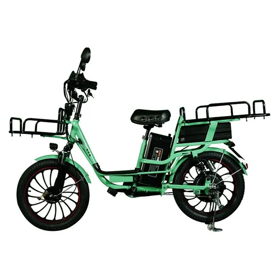 Double Battery Type 200km Fast Food Cargo Delivery Electric Bike Electric Scooter