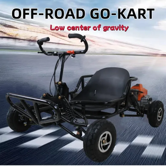 Gasoline Kids Adults 49cc Pull Start Go-Kart