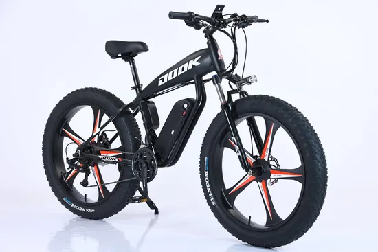 Ready to Ship 21 Speed Electric Bike 1000W Electric Mountain Bike Bicycle with 48V 17ah Lithium Battery