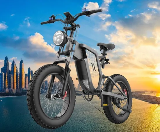 48V500wone-Wheel and Rear-Wheel Drive Snow off-Road Electric Bicycles Two-Wheelelectric Motorbike