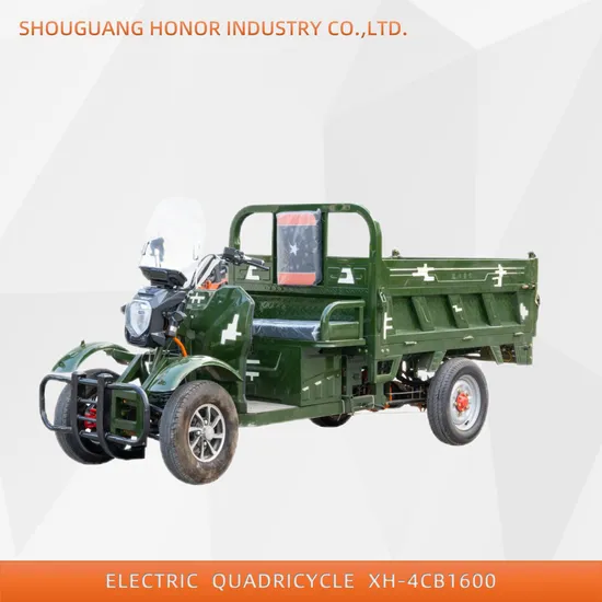 China Passenger Tricycle 48V/60V Cargo 4 Wheel Electric Tricycle Electric Quadricycle