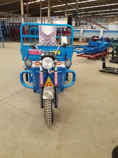 Electric Lifting Tricycle with Electronic Scale for Agricultural Market