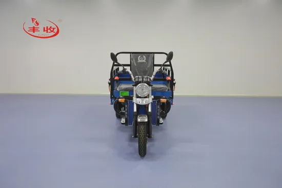 Versatile Electric Light Cargo Tricycle with 800 Kg Capacity