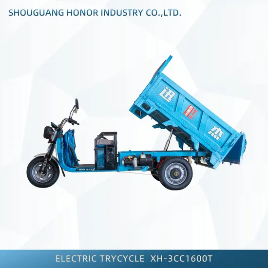 Chinese Electric Cargo 60V Cargo 3 Wheel Dump Electric Tricycle
