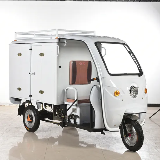 Hot Sale Electric Delivery Rickshaw 1.5m Electric Motorcycle Closed Electric Vehicles
