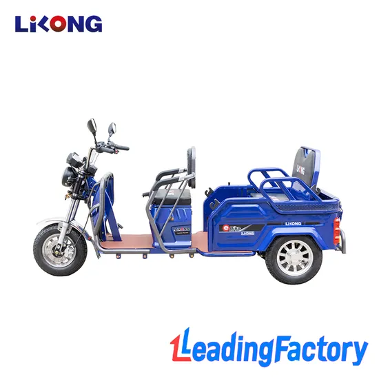 China Discount Multifunctional 3 Wheel Cargo Bike Trikes Electric Tricycle for Australia
