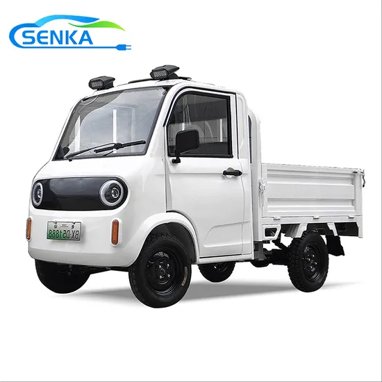 Senka New 4 Wheels Car 1500W 3000W Motor Motorcycle Vehicle Electric Cargo Tricycle with Enclosed Cabin
