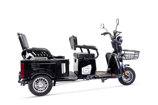 Quality 3 Wheel Motorized 500W/650W /800W Electric Tricycle Etb Trike
