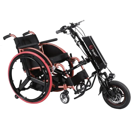 Wh12as 12inch 350W Suspension Fork in Wheel Motor Wheelchair Electric Handcycle
