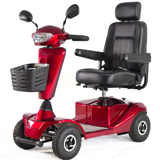 Electric Power Mobility Scooter Portable Two-People for Elderly and Disabled