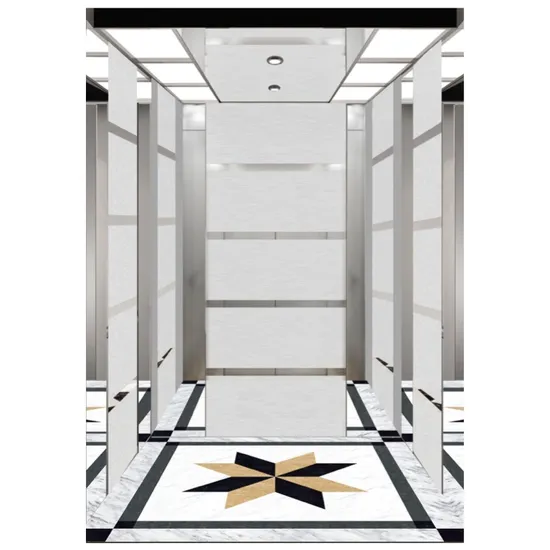 630kg 8 Persons Customized Passenger Elevator for Villa Residential Home Elevator Low Price