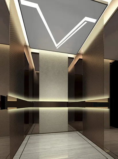 Chinese Custom Design Luxury FUJI Passenger Residential Elevator Home Lift Price Residential House Elevator