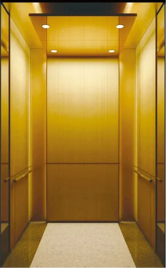 Mrl Passenger Elevator with Golden Mirror Etching