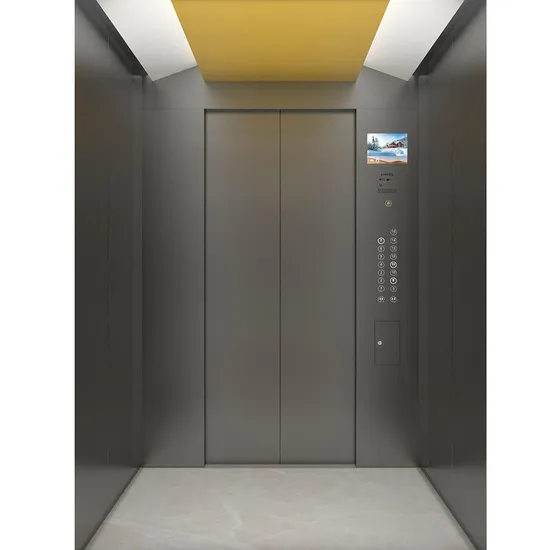 Technical Latest Convenient and Safety 800kg/1000kg/1600kg Passenger Elevator