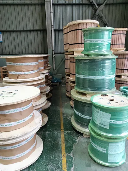 Pawo F10 9*21f Iwrc D16mm 1570 U Sz Filler Wire Rope