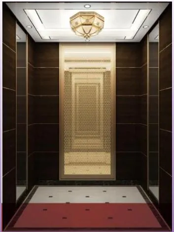 Europe Standard Shopping Mall Passenger Elevator Lift with Good Price China Wholesale