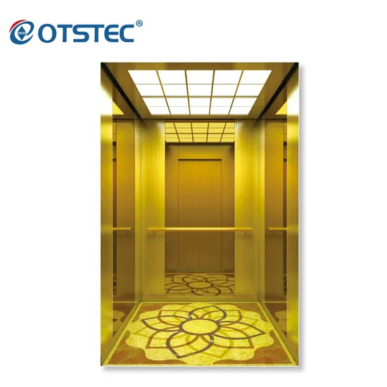 Golden Etched Mirror Residential Elevator for Home Customized 4-8 Persons Passenger Lift