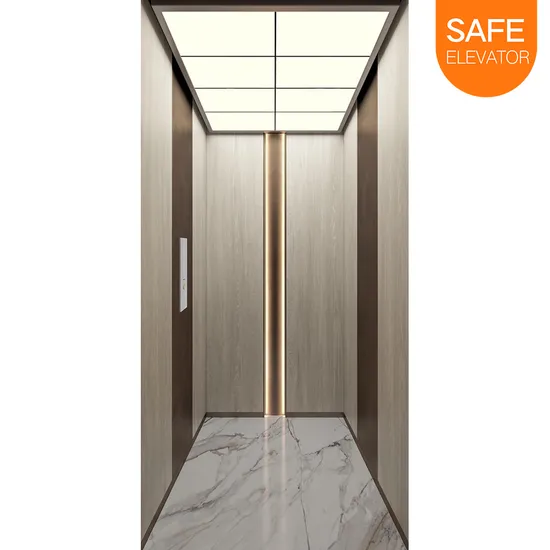 China Supplier New Design Cheap Residential Lift House Indoor Passenger Home Lift Elevator