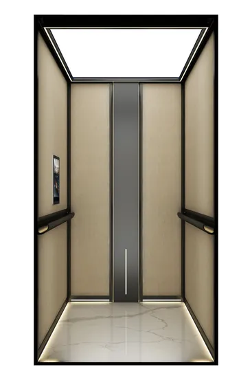 Small Household Elevator 2-6 Floors High Quality and Customized Villa Private Personal