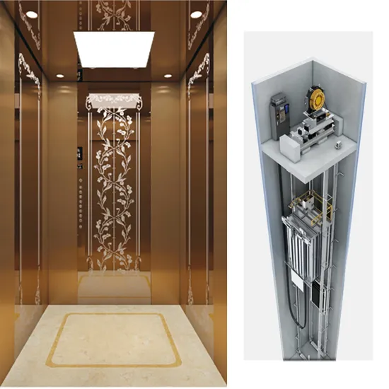 Passenger Elevator Price Stainless Steel Interior Lift Elevator for Home