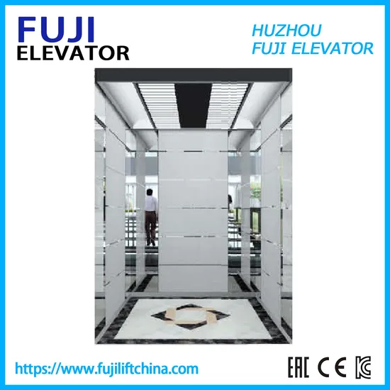 Good Price Shopping Mall Passenger Elevators Lifts with Hydraulc Buffer Machine Roomless