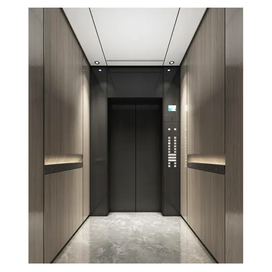Large Space Comfortable Silent Stainless 1600kg 6 Person Passenger Lift Elevator
