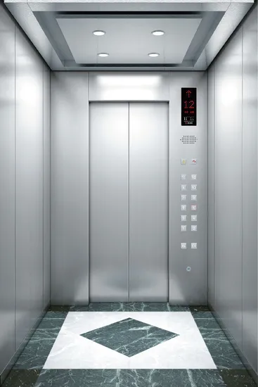 Good Quality 6 Person Passenger Elevator Lift with Good Price