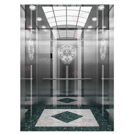 Custom Passenger Home House Villa Hotel Obsevation Panoramic Elevators Medical Hospital Indoor Freight Residential Outdoor FUJI Apartment Lift