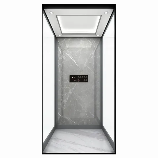 Family Residential Elevator Sightseeing Elevator Cheap Beautiful and Practical