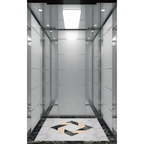 V FUJI Home Passenger Elevators for Villa House