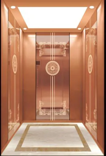 Fujiuxun Gearless Mirror Stainless Steel Villa Home Panoramic Freight Cargo Car Goods Hospital Observation Residential Sightseeing Glass Passenger Elevator Lift