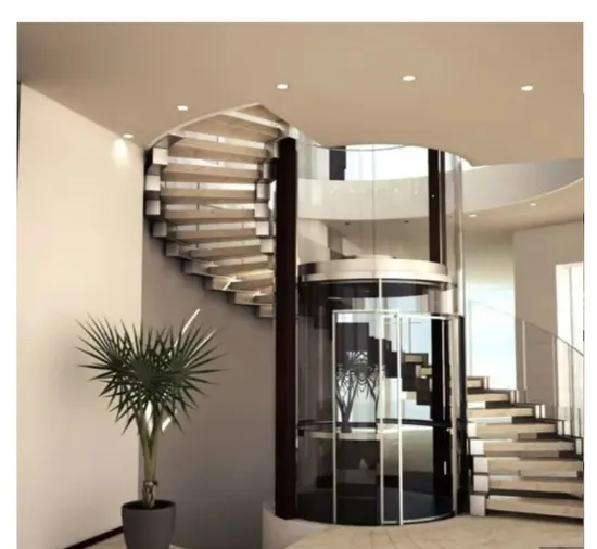 Residential Mrl Elevator Lift with New Style