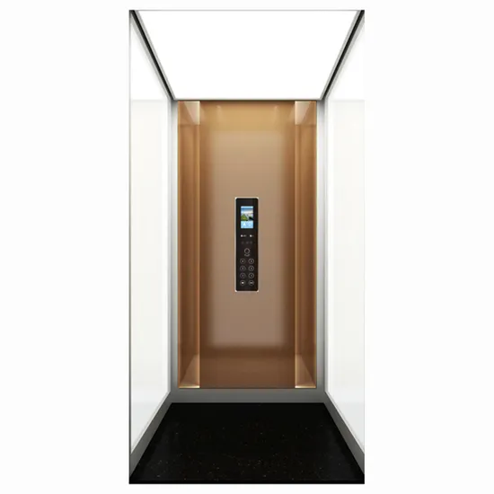 Home Elevators Can Be Decorated for Sightseeing Purposes