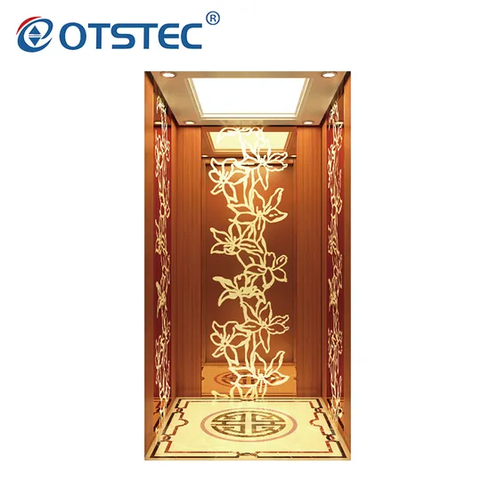 Otstec Modern and Luxury Customized Home LFT Villa Elevator