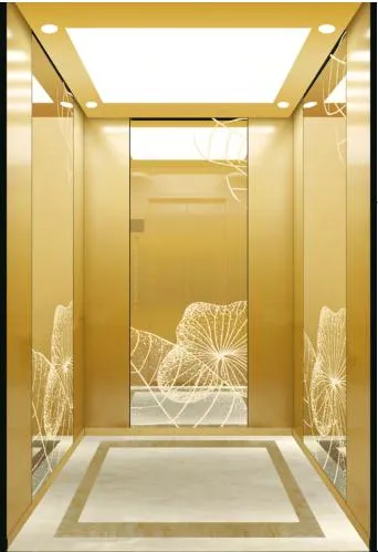 Fujixun Sightseeing Hoist Home Lift Elevator for Residential Commercial Building Passenger Villa Construction Machinery Lifting Equipment Lift Parts