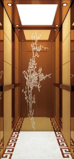 High Evalution Passenger Elevator for 8 Persons