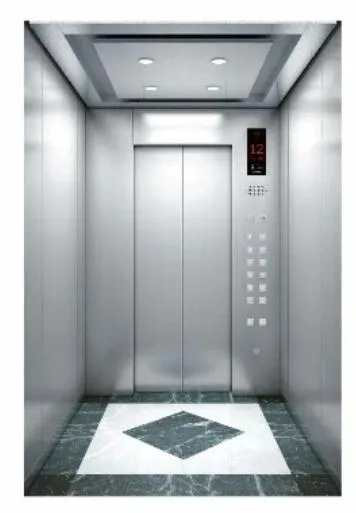 6 People Retro Design Passenger Elevator with Professional Service
