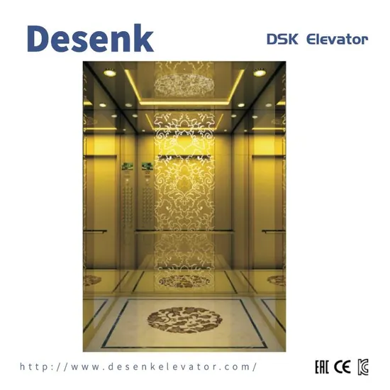 Desenk Home Lift Vvvf Passenger Lift with Best Elevator Quality