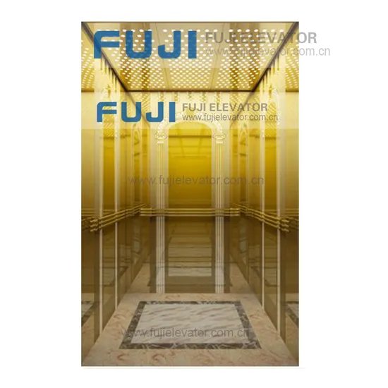 Hot Sale House Elevator Passenger Lift Price Small Elevators for Homes