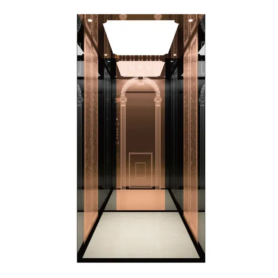 China Factory Residential Lift Sightseeing Passenger Commercial Auto Panoramic Elevator